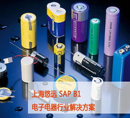 南京ERP定制开发 悠远南京SAP代理价格及规格型号