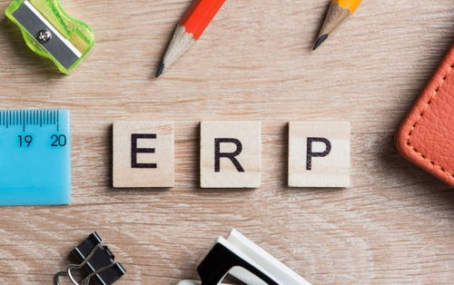 企业如何正确选择ERP系统 蓝灵通erp